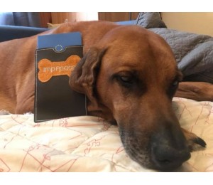 ITH - Stickserie Impfpasshüllen - Hund, Katze, Pferd, Kaninchen